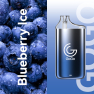 Blueberry Ice
